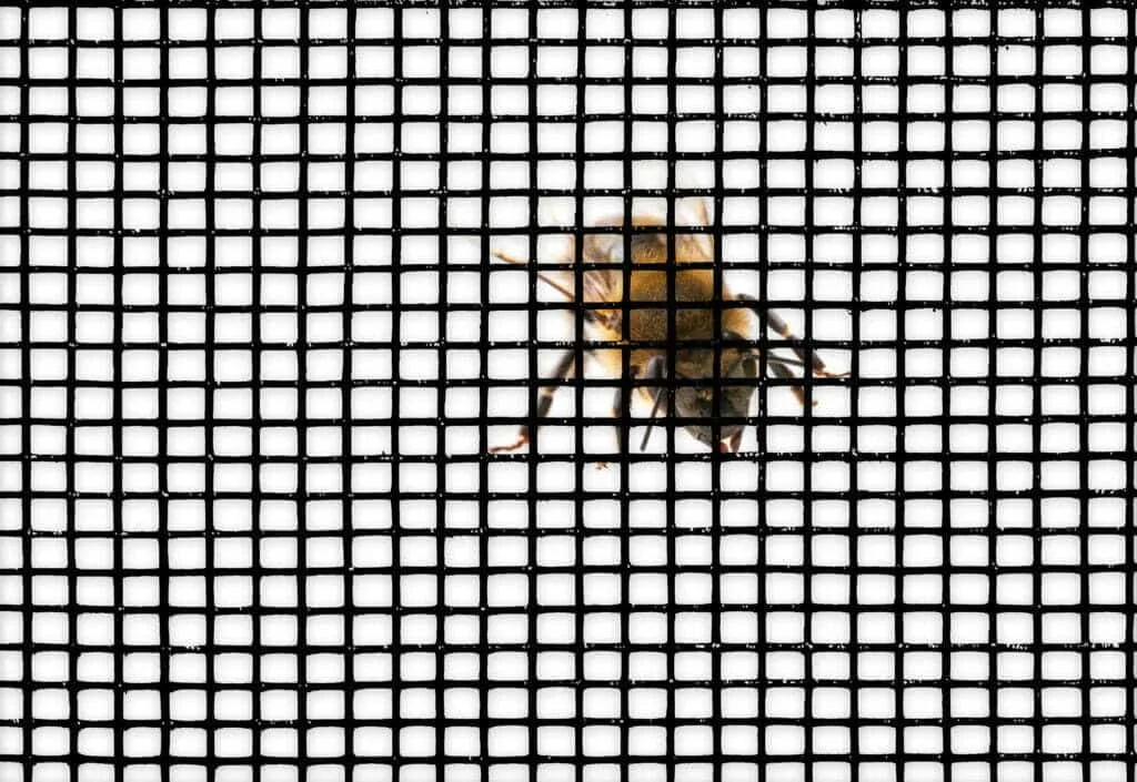 using mesh drywall tape using mesh drywall tape